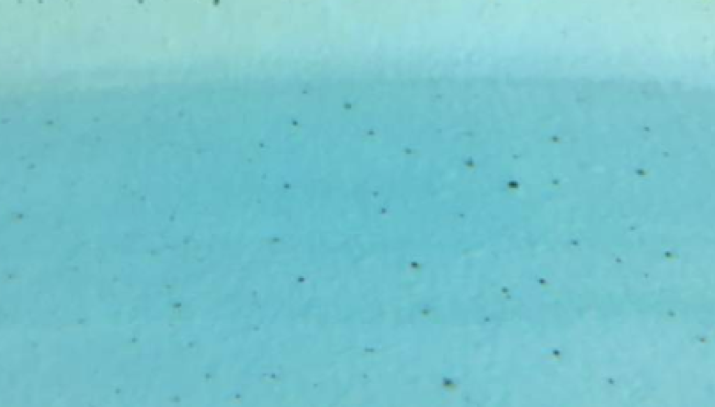 osmose zwarte puntjes in zwembad